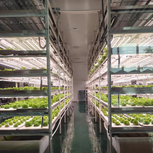 植物細胞培養(yǎng)實驗室設計建設方案