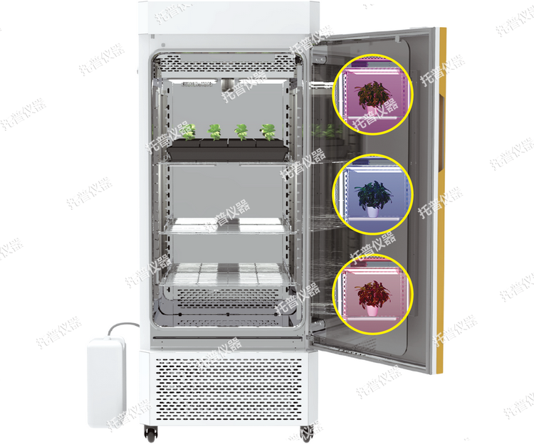 環(huán)控型植物活體影像分析儀